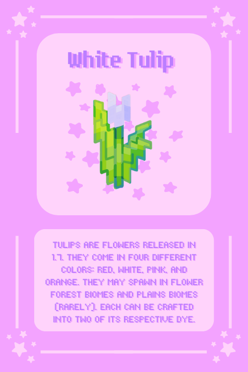 Flower Info Card Print